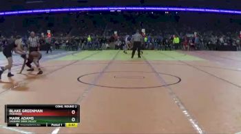 D3-140 lbs Cons. Round 2 - Mark Adams, Saginaw Swan Valley vs Blake Greenman, Montrose