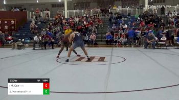 220 lbs Quarterfinal - Michael Cox, Holy Innocents' Episcopal School vs Jonathan Hammond, Mount Vernon