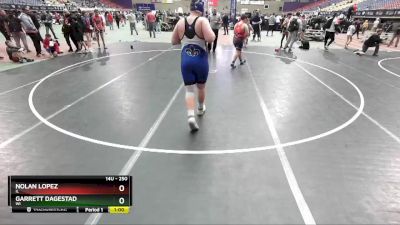 250 lbs Quarterfinal - Nolan Lopez, IL vs Garrett Dagestad, WI