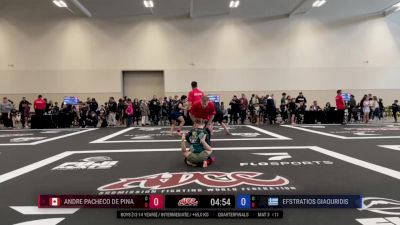 Efstratios Giaouridis vs Andre Pacheco De Pina 2025 ADCC Niagara Open