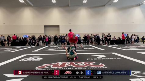 Efstratios Giaouridis vs Andre Pacheco De Pina 2025 ADCC Niagara Open