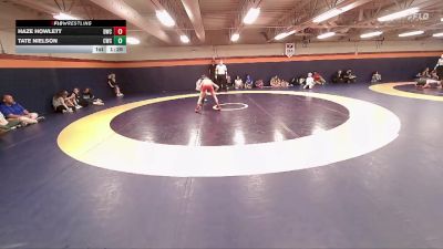 92-99 lbs Round 3 - Haze Howlett, Delta Wrestling Club vs Tate Nielson, Champions Wrestling Club