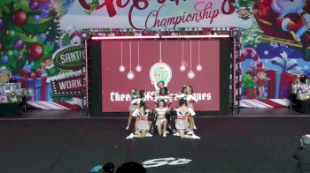 Cheer-riffic Techniques - Falcon Karma [2024 L4 Senior Coed - D2] 2024 Spirit Celebration Christmas Grand Nationals