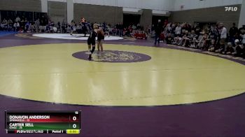84 lbs Placement (4 Team) - Carter Sell, F/MCC vs Donavon Anderson, Springfield