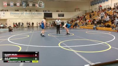 157 lbs Quarterfinal - Gus Amerson, Newberg vs Oliver Deleu, Liberty