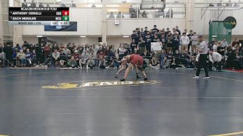 174 lbs 3rd Place Match - Zach Needles, Messiah vs Anthony Cerulli, Ursinus
