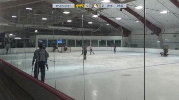 Replay: Home - 2025 CHI Cougars vs CHI Crush | Jan 25 @ 2 PM