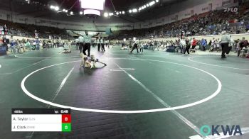 46 lbs Round Of 32 - Ayden Taylor, Clinton Youth Wrestling vs Jayce Clark, Division Bell Wrestling