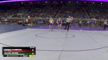 D3-132 lbs Quarterfinal - Michael Wilson, Catholic Central HS (Grand Rapids) vs Dominic D`Ambrosio, Imlay City HS