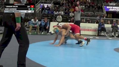 190 lbs Cons. Round 1 - Ceasar Salas, Crown Point vs Seer Godwise, Perry Meridian