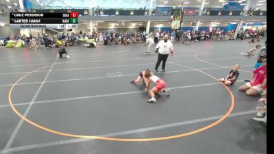 80 lbs Quarterfinal - Carter Haigh, Wadsworth vs Cruz Peterson, Team Donahoe