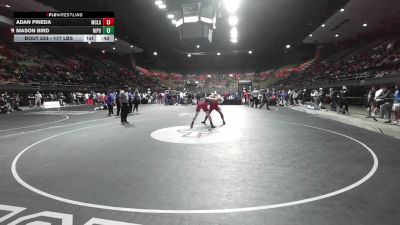 177 lbs Consi Of 16 #2 - Adan Pineda, McLane vs Mason Bird, Nipomo