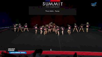 Fierce Idaho - Pumas [2025 L2 Senior - Small Prelims] 2025 The Summit