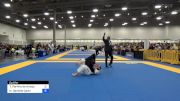 Tayane Porfírio De Araújo vs Natalie Danielle Cavin 2024 World Masters IBJJF Jiu-Jitsu Championship