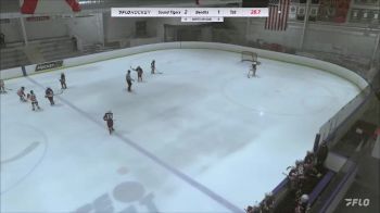 Replay: Home - 2023 Sound Tigers U10 vs Bandits 10U Red | Dec 3 @ 2 PM