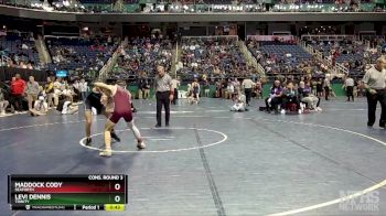 2A 132 lbs Cons. Round 3 - Maddock Cody, Seaforth vs Levi Dennis, Trinity