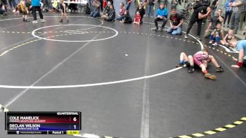 49 lbs Quarterfinal - Declan Wilson, Rogue Wrestling Club vs Cole Manelick, Pioneer Grappling Academy