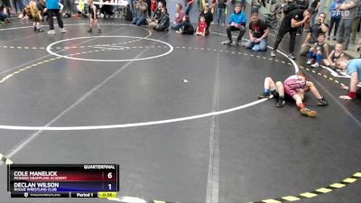 49 lbs Quarterfinal - Declan Wilson, Rogue Wrestling Club vs Cole Manelick, Pioneer Grappling Academy