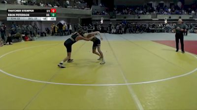 102 lbs Semis (4 Team) - Ebon Peterson, Dassel-Cokato-Litchfield vs Thatcher Stemper, Caledonia/Houston