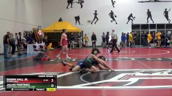 133 lbs Champ. Round 1 - Ashtyn Bennett, Adrian vs Arlie Benson, Wabash