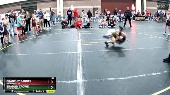 58 lbs Finals (2 Team) - Bradley Crowe, Team Palmeto vs Brantley Barnes, Ares Black