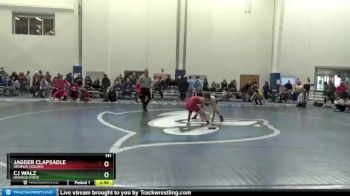 141 lbs Cons. Round 1 - CJ Walz, Oswego State vs Jagger Clapsadle, Ursinus College