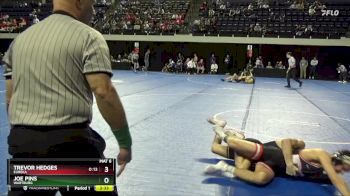 133 lbs Quarterfinal - Trevor Hedges, Eureka vs Joe Pins, Wartburg