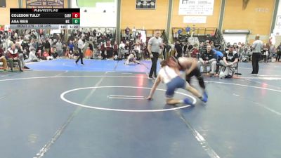 138 lbs Quarterfinal - Coleson Tully, Carver vs Asa Reis, Mt. Anthony Union