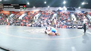 132 lbs Semifinals (8 Team) - Mason Katschor, Dundee vs Vincent Stamm, Lake Odessa Lakewood