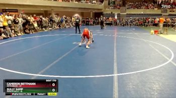 65 lbs Cons. Semi - Cameron Rettmann, Hutchinson vs Sully Samp, Fergus Falls
