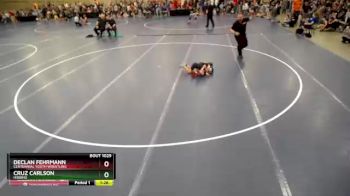 Champ. Round 1 - Cruz Carlson, Hibbing vs Declan Fehrmann, Centennial Youth Wrestling