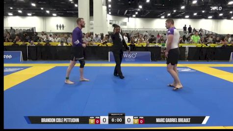 Marc Gabriel Breault vs Brandon Cole Pettijohn 2025 World IBJJF Jiu-Jitsu No-Gi Championship