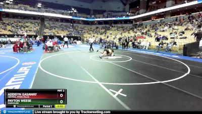 135 Class 1 lbs Cons. Round 3 - Payton Weese, Marceline vs Addisyn Gasaway, Central (Park Hills)