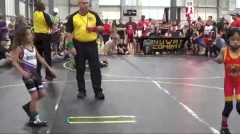 43 lbs Quarterfinals (8 Team) - Elyse Vu, East Kansas Eagles vs Liam Pao, Untouchables Purple