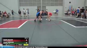 145 lbs Quarters & 1st Wb (16 Team) - Gavin Wilson, South Carolina vs Gavin Drexler, Wisconsin