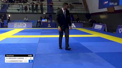 STUART GREGORY CARMODY vs CRISTIAN A AMADOR FIGUEIRA 2023 European Jiu-Jitsu IBJJF Championship