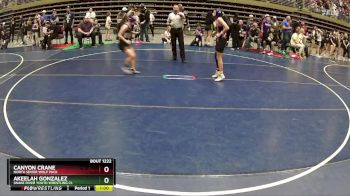 110 lbs Cons. Round 3 - Akeelah Gonzalez, Snake River Youth Wrestling Cl vs Canyon Crane, North Sevier Wolf Pack