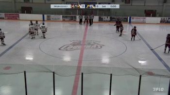 Replay: Home - 2024 Admirals vs Cougars | Dec 10 @ 7 PM