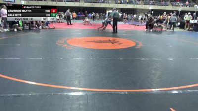 91 lbs Consolation - Cameron Martin, York vs Cale Witt, Lehighton