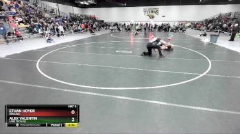 113 lbs Cons. Round 6 - Ethan Hoyer, Brillion vs Alex Valentin, Lane Tech (IL)