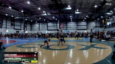 60 lbs Round 5 (6 Team) - Luke Calkins, CAROLINA ELITE WRESTLING CLUB vs Channing Cerdas, GREAT NECK WRESTLING CLUB - GREEN