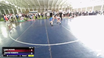 119 lbs Quarterfinal - Cash Mcfate, NV vs Tristen Roberts, UT