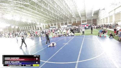 59 lbs Quarterfinal - Aiden Sanchez, Sanderson Wrestling Academy vs Krew Williams, Northside Wrestling Club