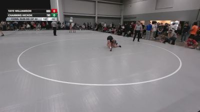 113 lbs Cons. Sub-rd Of 32 - Taye Williamson, Moen Wrestling Academy vs Channing Hickok, TYW Wrestling Club
