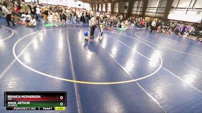 39 lbs Quarterfinal - Knox Arthur, Skyridge vs Branch McPherson, JWC