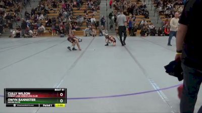 55 lbs Cons. Round 3 - Owyn Bannister, Moyer Elite vs Cully Wilson, Forest Lake Wrestling Club