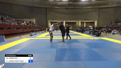 WILFREDO PIMENTEL vs CHRISTOPHER JAMES MATTINGLY 2024 Pan IBJJF Jiu-Jitsu No-Gi Championship