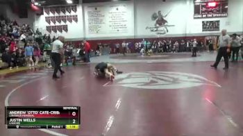 138 lbs Semifinal - Justin Wells, Lakeside vs Andrew `Otto` Cate-Cribari, Cimarron Memorial
