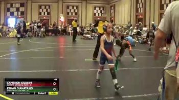 49 lbs Semis & 1st Wrestleback (8 Team) - Ethan Gianatasio, Steel Valley Silver vs Cameron Gilbert, Olympia National Team
