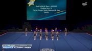 Rock Solid Allstars - Angels [2026 L1 Mini - Small Day 1] 2026 UCA & UDA All Star Nationals